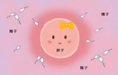 人工授精技术中的ICI、IVI、IUI和IFI，它们之间到底有什么不同呢？