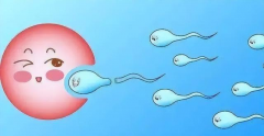 人工授精与IUI（宫腔内人工授精）是同一回事吗？详细解析一下