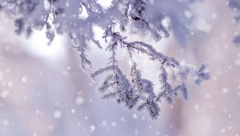孕妇梦见下大雪，这些预兆你知道吗？