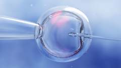 东莞哪个医院包试管成功？2024年最受欢迎医院推荐与费用解析！