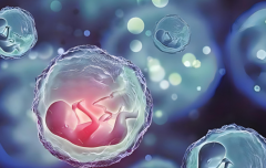 冻胚移植后建议卧床休息，还要注意有没有这些反应！