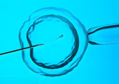 长沙做人工受精可不便宜！这些实用建议助您降巨额负担！