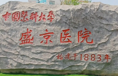 沈阳盛京医院做供卵试管费用如何？一次需要多少费用？