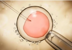 胚胎移植后发现出血是流产了吗？如何才能保胎？