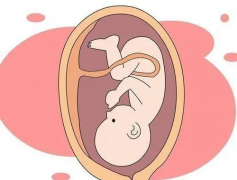 锦州妇婴医院人工授精费用一览：全面解析人工授精所需花费及注意事项