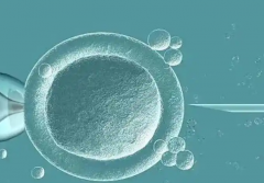 辽宁供卵试管费用分享，每项费用明细很详细！