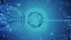 试管包成功要多少钱？试管“全包价”到底值不值的秘密大公开！