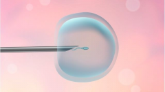 试管婴儿助孕包成功？成功率冲刺99%，到底是神话还是现实？深度解析！
