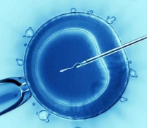 西安交大一附院做试管的全部费用大概需要多少钱？详细解析与预估