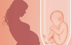 囊胚移植前，如何科学有效地调理身体以提高成功率？全面解析调理身