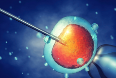 胚胎移植后建议多吃这些食物，有助于试管保胎！