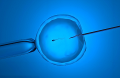 乌鲁木齐做人工授精需要多少钱？2025人工受精报价表已整理好！