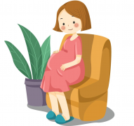 关于冻胚移植，有哪些具体的内膜准备方案可供选择和实施呢？