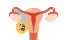 子宫内膜过厚影响胚胎移植，可以用这些方法来改善！