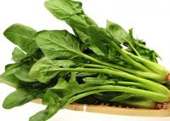 试管移植后吃菠菜好处多，但要避免过量食用