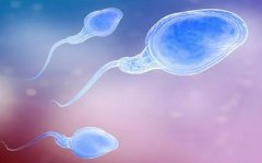 移植后水样液体流出，是身体在传递什么信号？