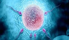 试管移植与乳晕变化，着床的微妙联系！