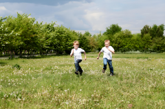 临汾做试管双胞胎价格多少?2025年试管双胎收费标准有无变化？