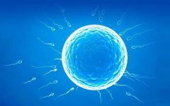 在荆州市中心医院进行试管治疗大概需要花费多少费用？详细费用介绍