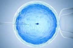 试管移植手术后，选择哪种黄体支持方式更为合适呢？全面解析不同黄