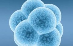 囊胚移植后奇迹速现？2天成功的秘密征兆大揭秘！