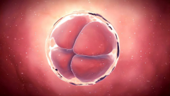 盘点试管移植多次失败常见的原因，找一找是这些问题吗？