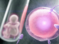 石家庄最优秀试管医院排行榜更新：好医院都在这