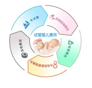 十堰市太和医院试管成功率大揭秘：了解成功率数据，为您的生育之路