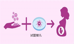 4BC级别囊胚发生停育通常是在怀孕第几周？全面解析囊胚停育的时间段