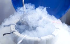 冻胚移植为何要先解冻？提前一天的原因在这里！