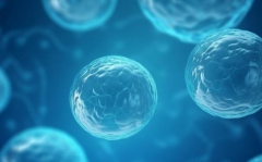 胚胎移植后肚子感觉在动是着床吗？着床有哪些征兆？