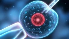 胚胎移植后的微妙感受：宫缩究竟是何感觉？