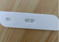 囊胚移植一周了验孕还是白板正常吗？是否表示移植失败？