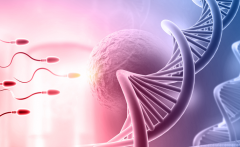 国内医院排名试管（2024年最具实力的国内试管医院排名）