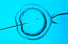 成都做一次人工授精多少钱？2025年授精最新花销明细表已整理好！