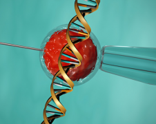 2024西藏试管医院排名一览：哪家医院成功率最高，费用最透明？