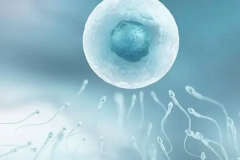 温州市人民医院二代试管技术费用全解析：详细了解做一次二代试管需