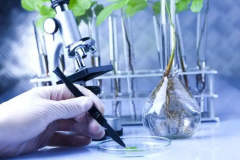 囊胚移植手术前，子宫内膜血流达到几级才是最佳状态？全面了解内膜血流等级对移植成功率