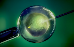 海外借卵试管一般要多少钱？2025年海外试管收费标准公布了！