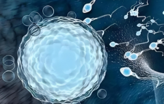 俄罗斯三代试管包生'男'孩价格参考：相比其他国家是否更优惠便宜一些