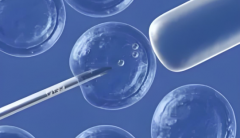 珠海做试管三代总费用大概多少？2025年试管各项目费用大盘点 ！