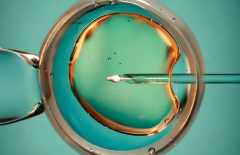 2025年江苏省十大试管医院排行名单汇总！