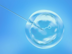 试管成功率高低有差距！2024洛阳试管医院费用与服务全盘点，排名揭晓