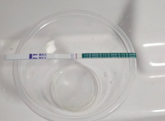 移植囊胚后几天可以测出怀孕？验孕准确吗？