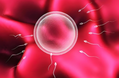 2025年马来西亚试管最新价目明细表分析，看到就是赚到！