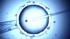 佛山做三代试管要花多少钱？2024年收费详情与成功率大公开！