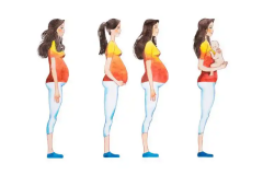 五天囊胚进行移植后，大概需要多少天才能在子宫内成功着床？全面解