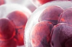 淮安市妇幼保健院供卵试管费用大揭秘：一次需要多少，才能圆您生育