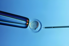 黄石市中心医院做试管费用大约多少？附2025年最新试管花费明细表！