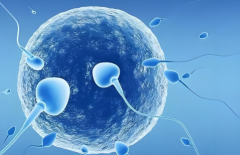 上海2025年试管费用明细一览，（包含取卵、移植费用预估）